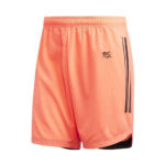 Gym Shorts